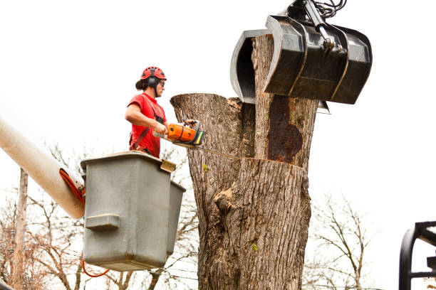 Mulching Services in Vale, OR